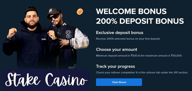 Un coup d’œil sur Stake Casino France à France